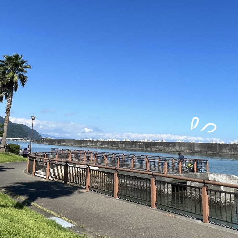 焼津でサカナ釣り